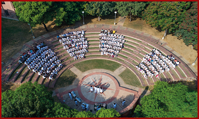 The Sagar School